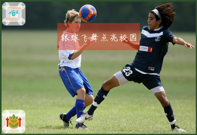 银球飞舞点亮校园