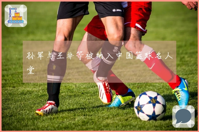 孙军与王非等被纳入中国篮球名人堂