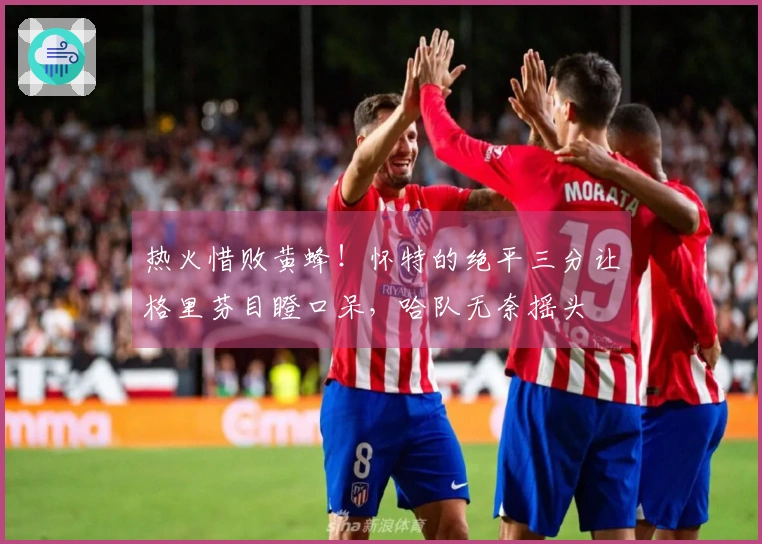 热火惜败黄蜂！怀特的绝平三分让格里芬目瞪口呆，哈队无奈摇头